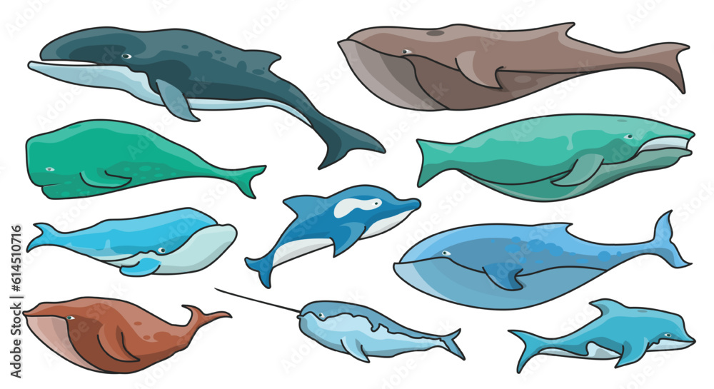 Fototapeta premium Sea whale vector color set icon.Vector illustration marine animal of whale.Isolated color icon of sea animal on white background.