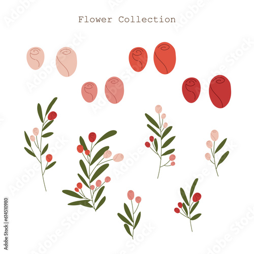 Wildflowers color vector hand drawn illustration set, floral collection, botanical for decoration	