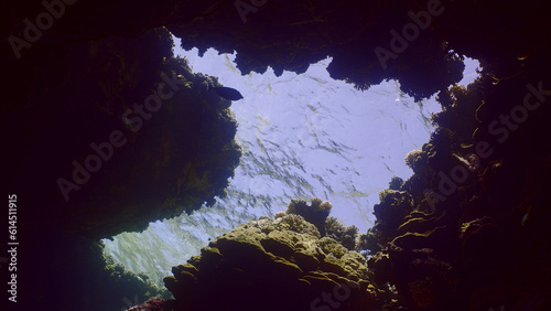 View of the water surface from an underwater cave, Red sea, Egypt