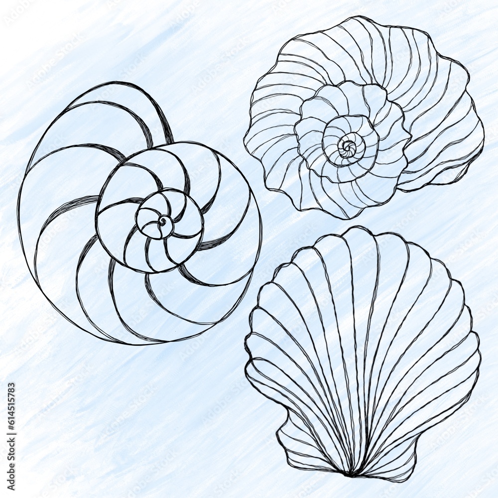 Obraz premium Line art illustration of a seashell on blue watercolor background. Shell tattoo idea. Hand drawn nautical engraving of nautical prints isolated on white background