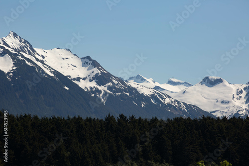 Scenic photograph of Alaska landscape 