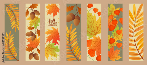 Autumn sale banner. Hello autumn. Set autumn bookmarks. Maple leaves, rowan leaves with branch of physalis, oak leaf,acorns.