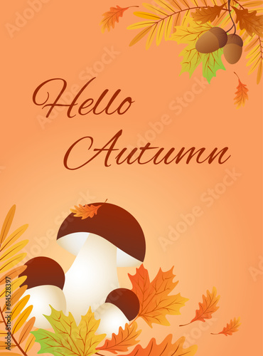 Hello autumn. Autumn leaves with cep, acorns and oak leaf. Set sale banners, postcard, poster. Vector illustration EPS10.