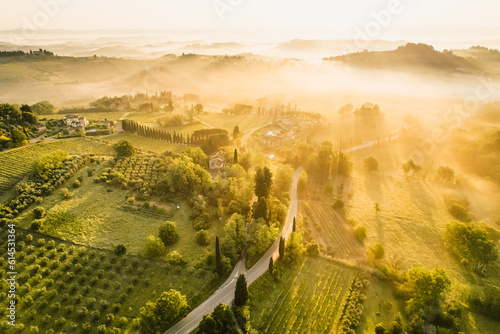 Aerial view of famous medieval San Gimignano hill. Province of Siena, Tuscany, Italy.  Amazing landscape of vineyards in Toscany,Italy