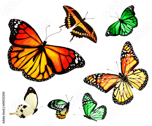 Color butterflies as set, isolated on white