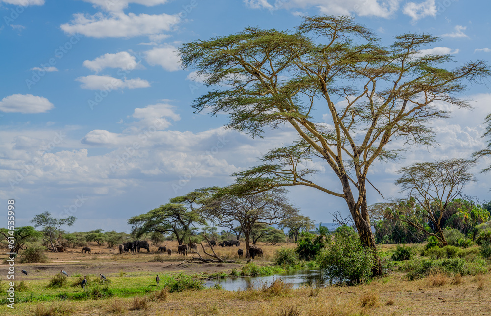 Savannah landscape in Serengeti National Park