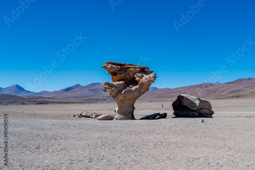 Stone tree in the bolivian altiplano