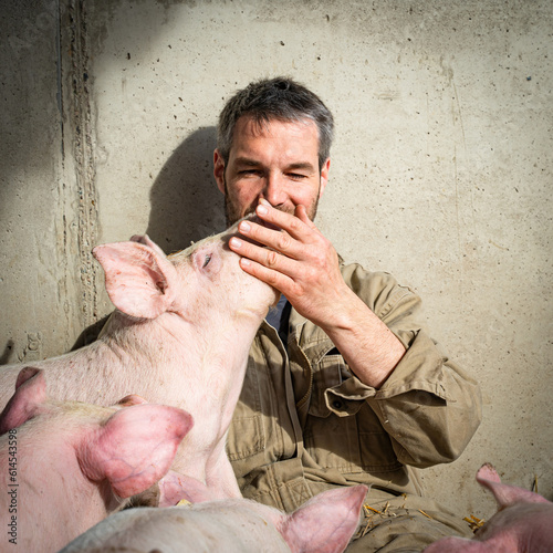 Sitzender Junglandwirt spielt mit seinen Schweinen in einer Bewegungsbucht. photo