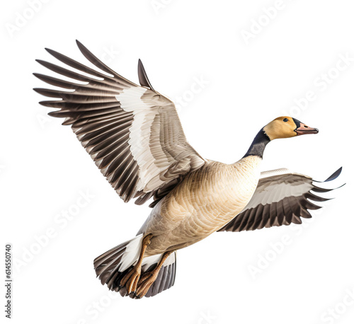 Flying goose isolated on the transparent background PNG. AI generative.
