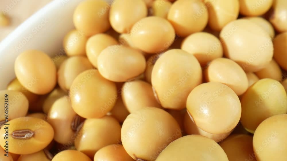 Macro video showcases soybeans in a bowl, captured through a probe lens. Every intricate detail, texture is beautifully highlighted, inviting viewers into a miniature world of soybean wonders.
Macro video showcases soybeans in a bowl, captured through a probe lens. Every intricate detail, texture is beautifully highlighted, inviting viewers into a miniature world of soybean wonders.
