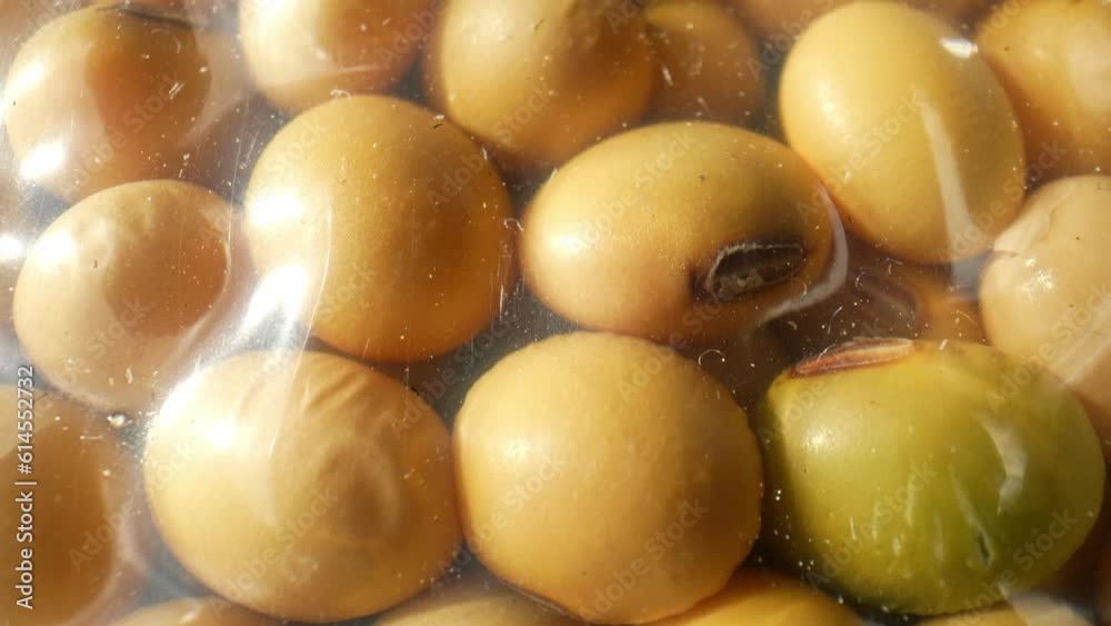 The macro video showcases vacuum-sealed soybeans, capturing their texture, color, and intricate details with stunning clarity. Food and grain concept. Soybeans background. 4K
