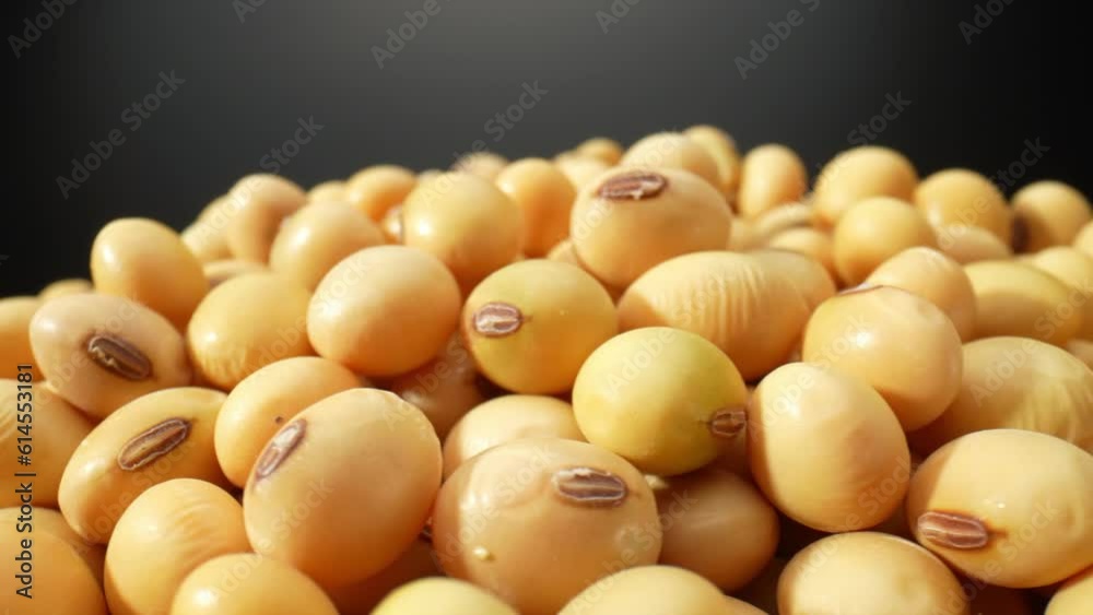 Macro video showcases soybeans in a bowl, captured through a probe lens. Every intricate detail, texture is beautifully highlighted, inviting viewers into a miniature world of soybean wonders.

