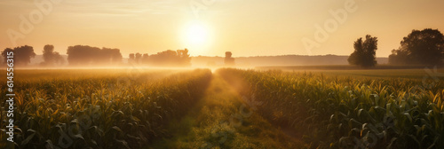 corn field at sunrise, view of a farm field, Generative AI