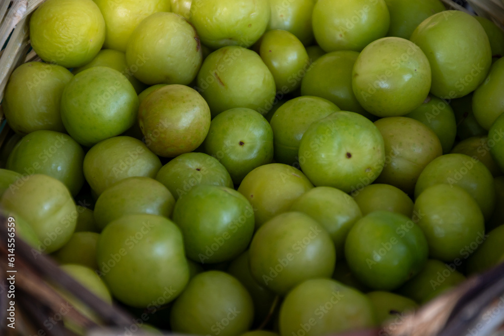 Green turkish plum can erik in basket Green turkish plum can erik in basket