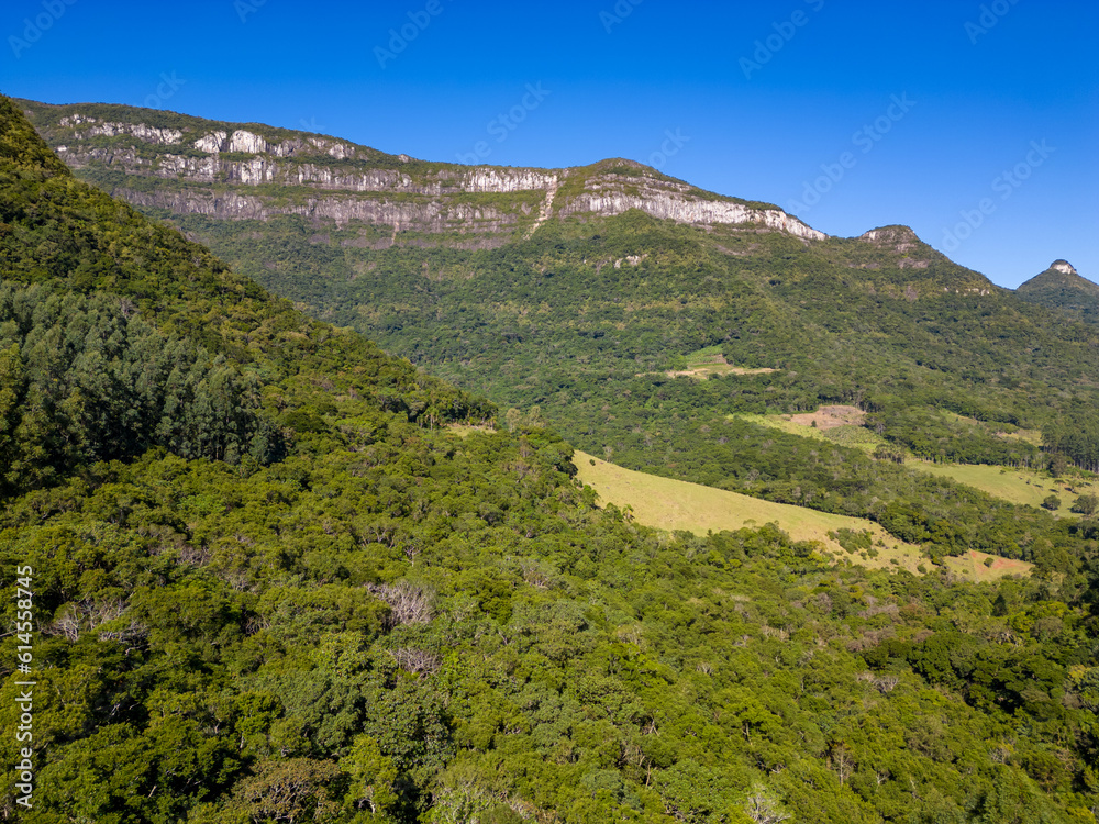 Aerial view of a valley with forest and rocks
