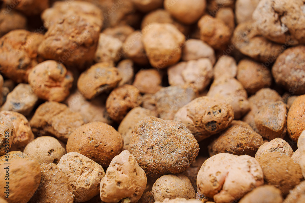 Expanded clay. small lumps of clay used in construction and for growing plants. Expanded clay. small lumps of clay used in construction and for growing plants.