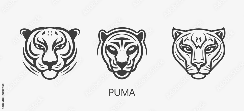 Modern abstract Puma or Jaguar head vector logo template. Line art wildcat logotype Modern abstract Puma or Jaguar head vector logo template. Line art wildcat logotype