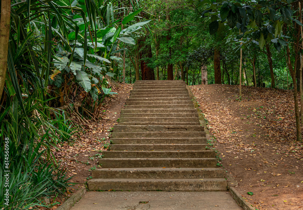 cement stairway inside the park cement stairway inside the park