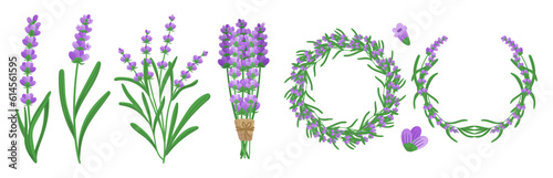 Lavender Elements Set Featuring Lavender Flowers, Leaves, Stems, Round Frame or Wreath For Creating Botanical Designs
