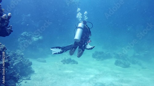 Wallpaper Mural Underwater Life With Diver. Tropical blue sea water. Scuba Diver Exploring Sea bottom. Slow Motion. Red Sea, Egypt. Underwater World Life. Tropical Underwater Seascape. Reef Coral Scene. Torontodigital.ca