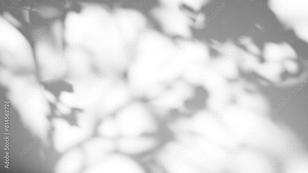 Shadow Overlay Video - Endless Loop - 4k UHD Resolution - Leaf Tree Shadow - Animated Gobo