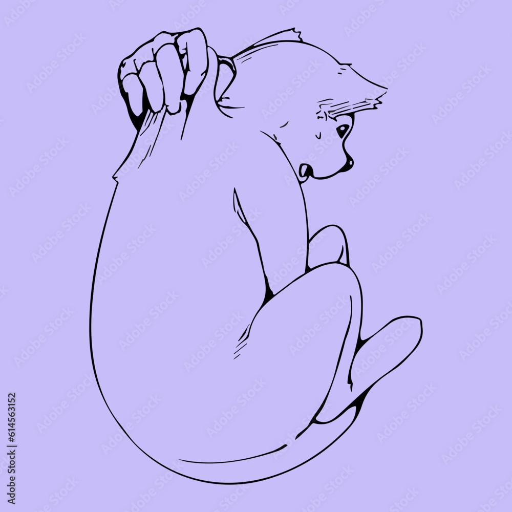 line drawing of a hand holding a scared cat line drawing of a hand holding a scared cat