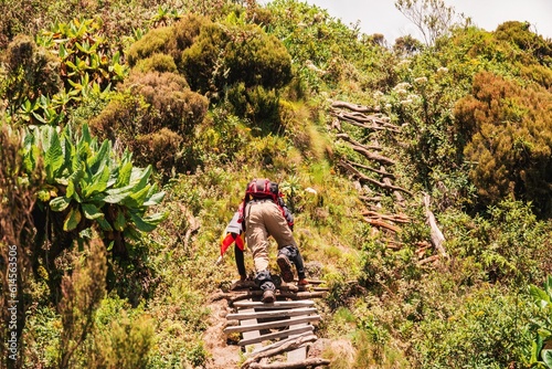 Rear view of a hiker on a wooden ladder at Mount Sabyinyo in the Virungas region at Mgahinga Gorilla National Park, Uganda photo