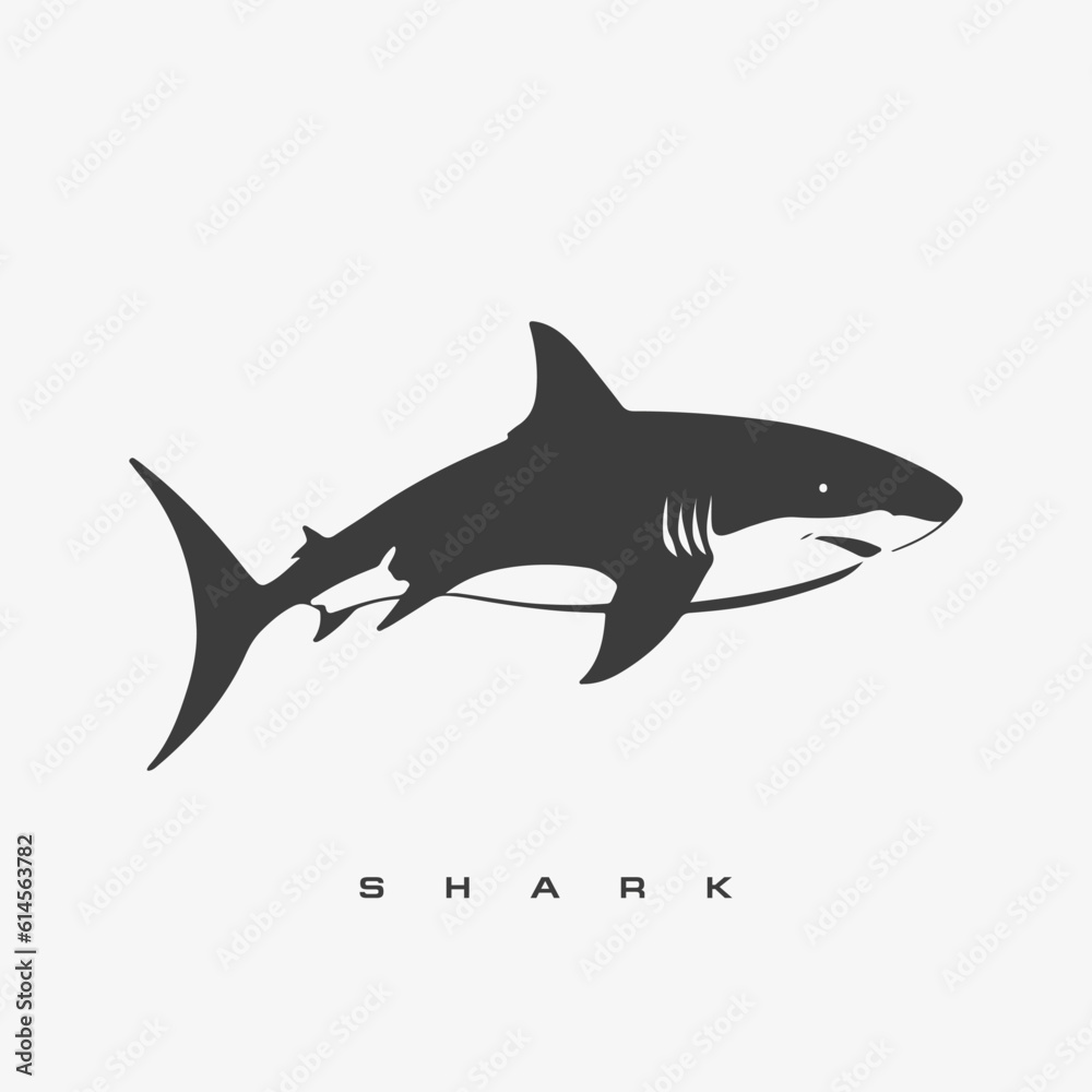 Obraz premium Modern vector shark logo template.