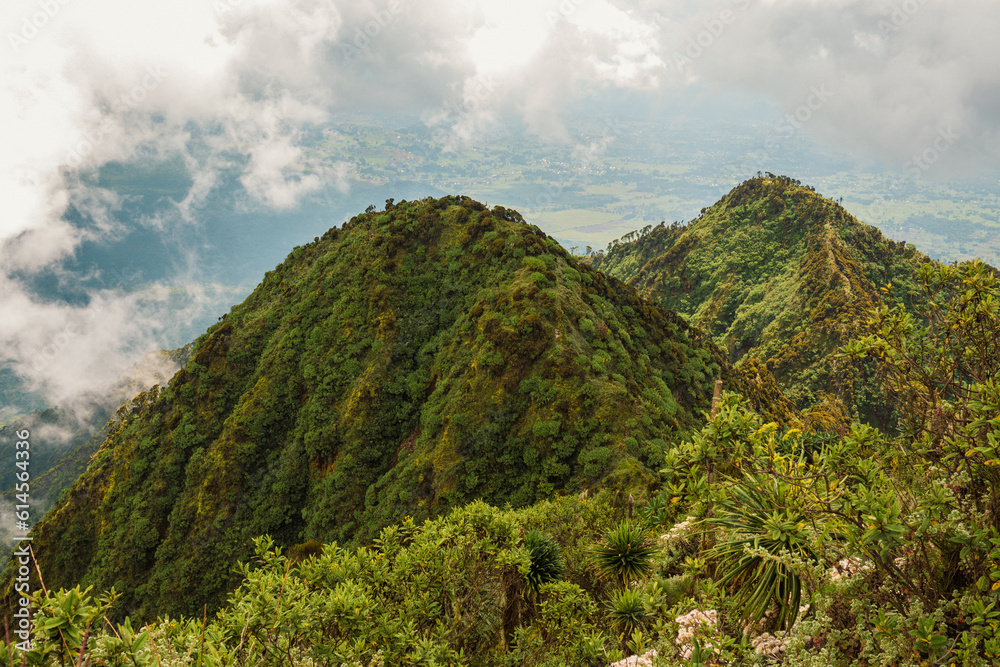 Scenic view of Mount Sabyinyo in the Mgahinga Gorilla National Park, Uganda