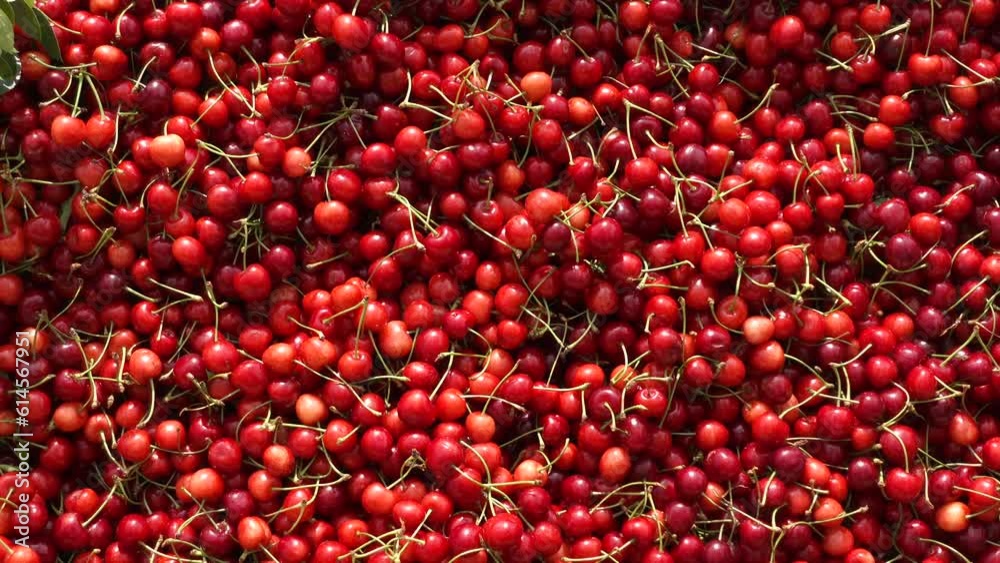 cherry fruit background for sale at local store 