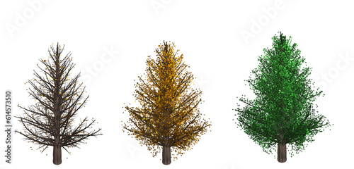 set of trees