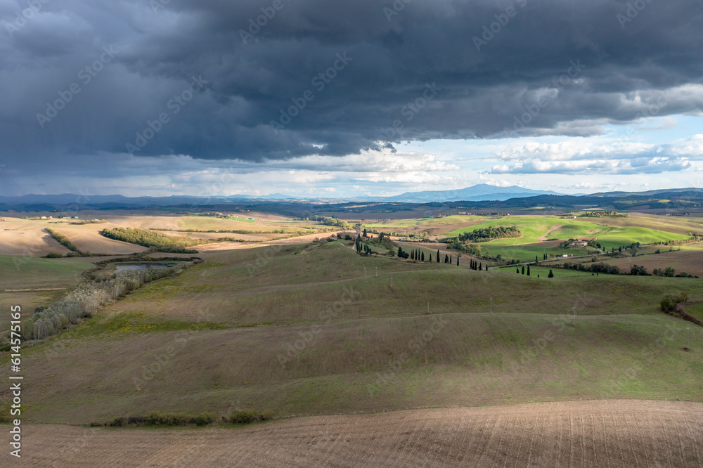 Aerial view, country estate with cypresses, Val d'Orcia; Montalcino, Siena Region, Tuscany, Italy