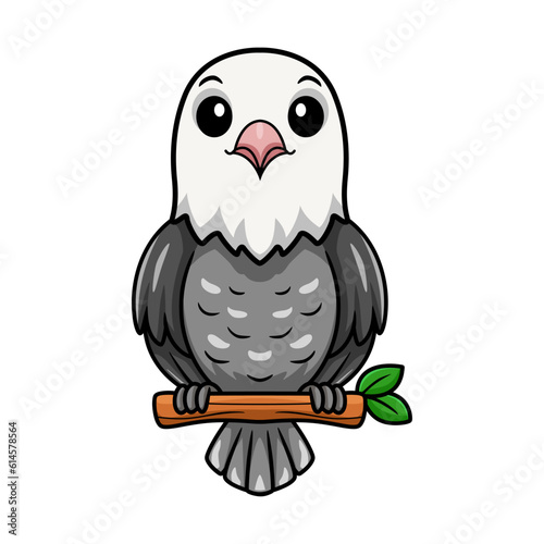 Cute roseicollis opaline malva love bird cartoon on tree branch