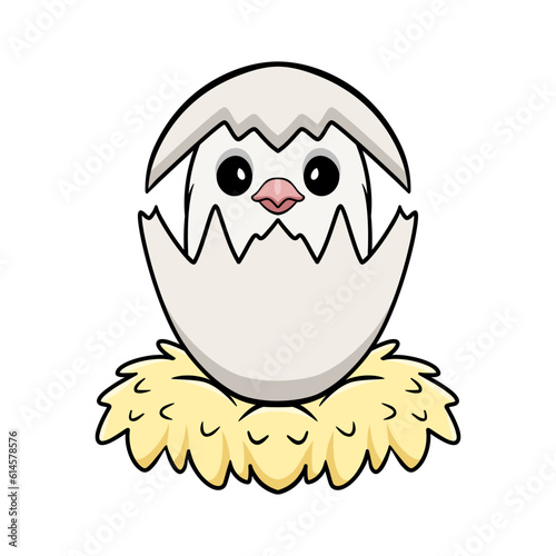 Cute roseicollis opaline malva love bird cartoon inside from egg