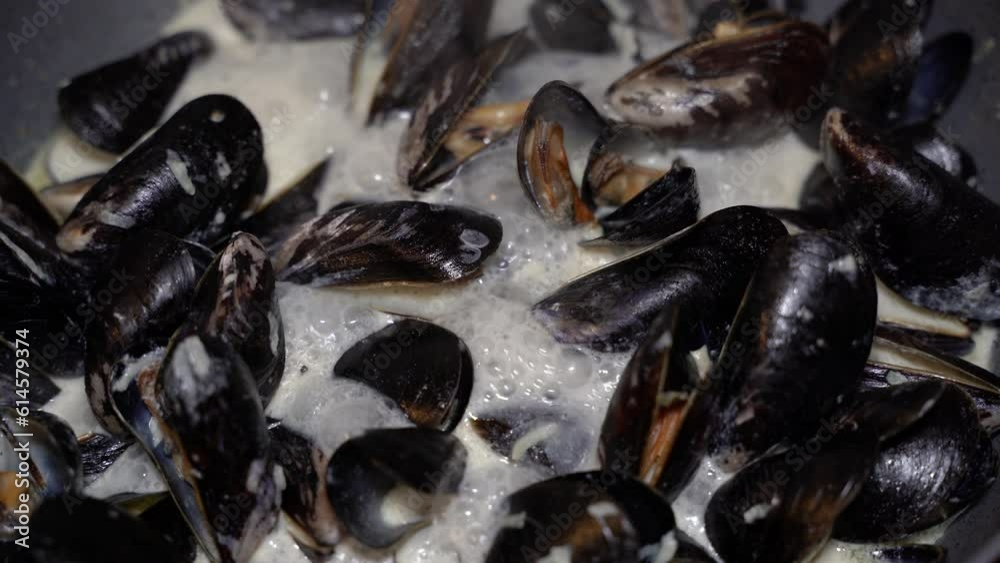 Mussels. Cooking mussels in a creamy sauce. Mussels. Cooking mussels in a creamy sauce.