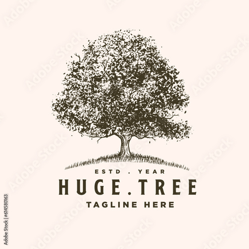 Oak tree familly huge tree vintage logo design template illustration