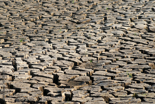 dry cracked earth as background