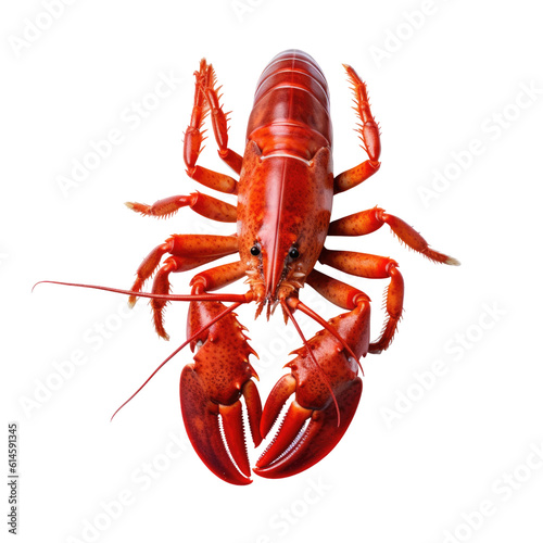 lobster isolated on a transparent background, generative ai