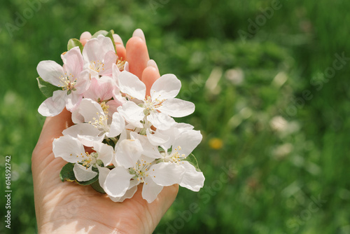 Woman holding spring flowers in her hands. Spring flowers. Abstract blurred background. Springtime.