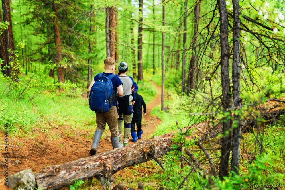 People hiking in the forest 