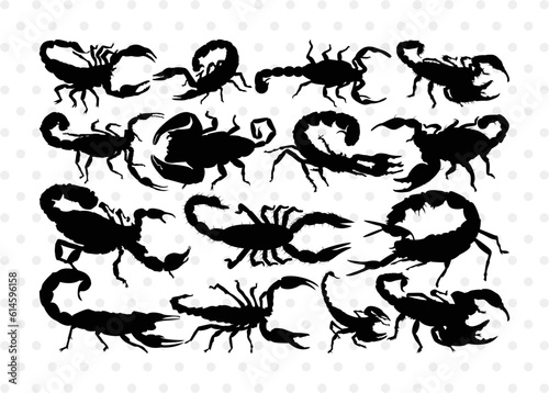 Scorpion Silhouette, Scorpion SVG, Scorpion Animal Svg, Skorpion Svg, Scorpio Svg, Animal Svg, Scorpion Bundle, SB00313