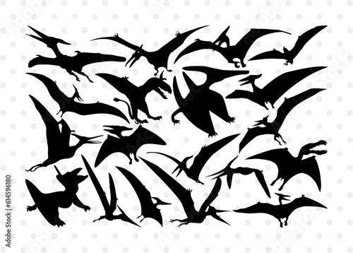 Pteranodon Silhouette, Pteranodon SVG, Pteranodon, Dinosaur Svg, Dino Svg, Flying Pteranodon Svg, Pteranodon Bundle, SB00307