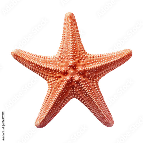 starfish isolated on a transparent background  generative ai