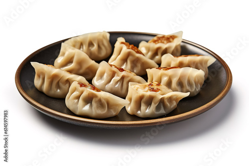 Chinese dumplings dim sum potstickers