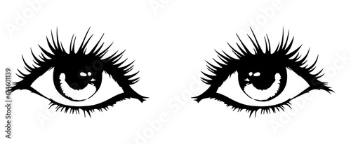 A pair of eye vector with eyelashes and eyebrows vector graphic.