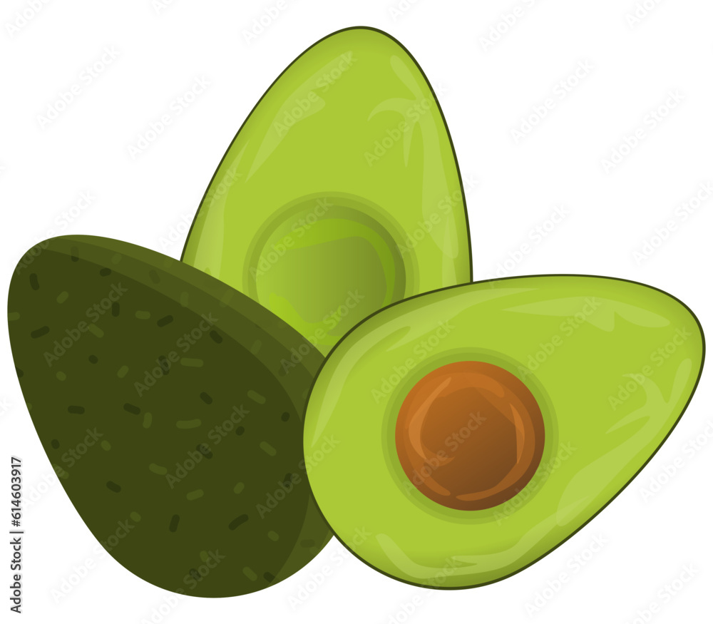 Avocado vegetable food illustration vector fruit concept fresh Avocado vegetable food illustration vector fruit concept fresh