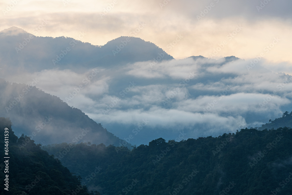 Mindo cloud forest at sunrise in fog and mist, Mindo, Quito, Ecuador. Mindo cloud forest at sunrise in fog and mist, Mindo, Quito, Ecuador.