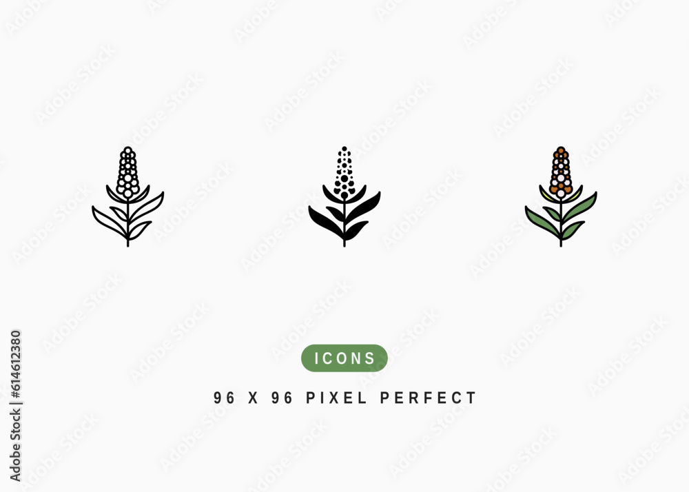 Pearl Millet Icon. Pennisetum Americanum Symbol Stock Illustration. Vector Line Icons For UI Web Design And Presentation