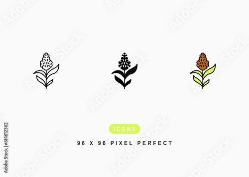 Sorghum Icon. Sorgo Grass Leaf Symbol Stock Illustration. Vector Line Icons For UI Web Design And Presentation
