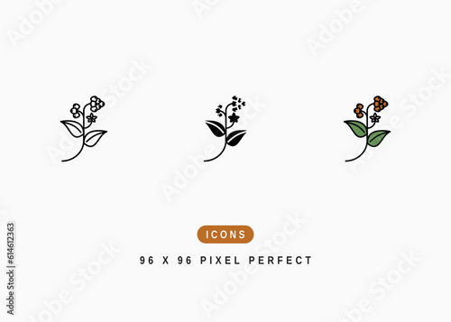 Buckwheat Icon. Japanese Buckwheat Flower Symbol Stock Illustration. Vector Line Icons For UI Web Design And Presentation